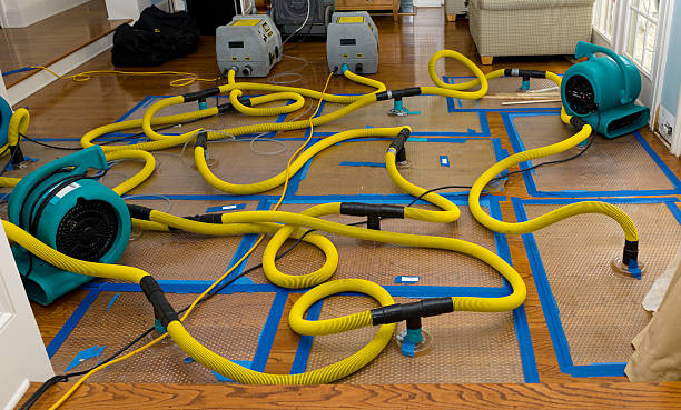 Professional Storm Water Damage Restoration technician working in Stanley, NM